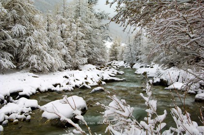 L'aigue Agnelle under spring snow