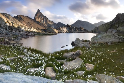 The Toillies peak, lake Blanchet and bog cotton