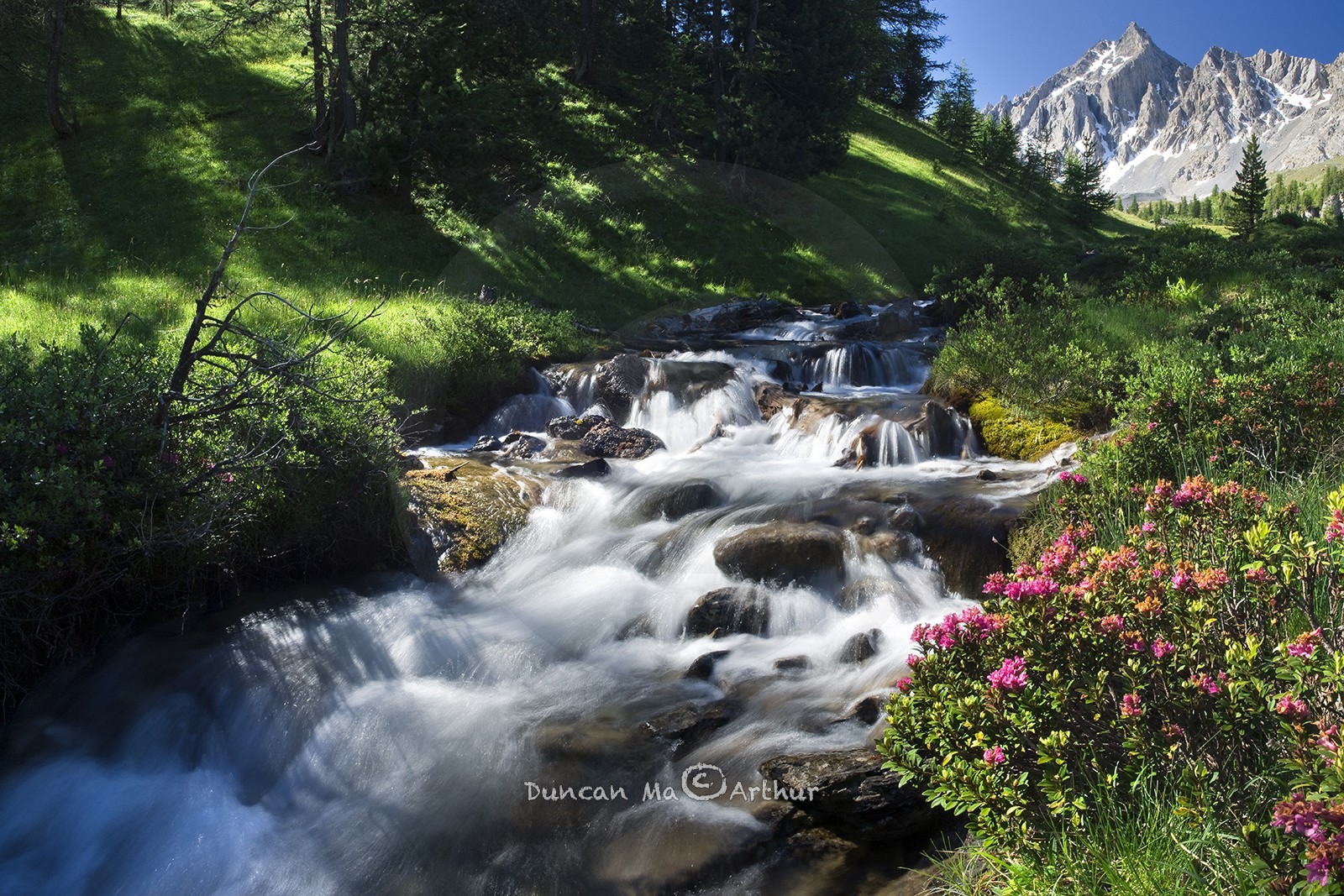 Torrent de la Pisse
