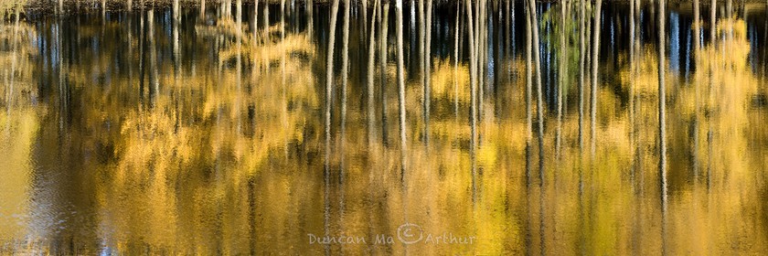 Autumn colours at the lake of Roue