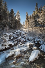 First snow on the torrent of Piss