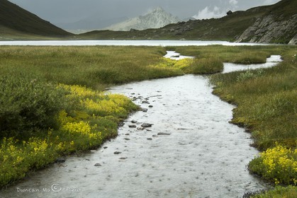 Rain at Egorgéou lake