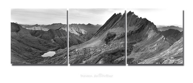 QL126pan t nb