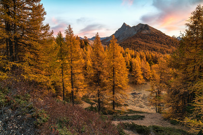 Le feu de l'automne au sommet Bûcher.
