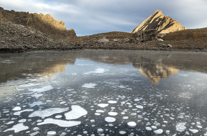 An ice flower on Asti lake