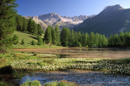 June at the Roue lake