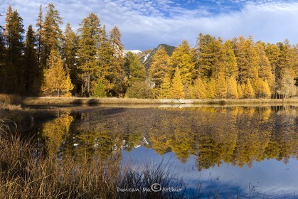 Autumn colours at the lake of Roue