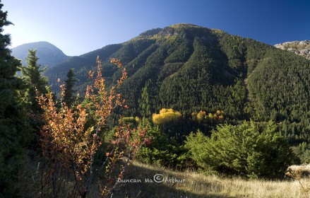 Contrastes d'Automne dans le Briançonnais