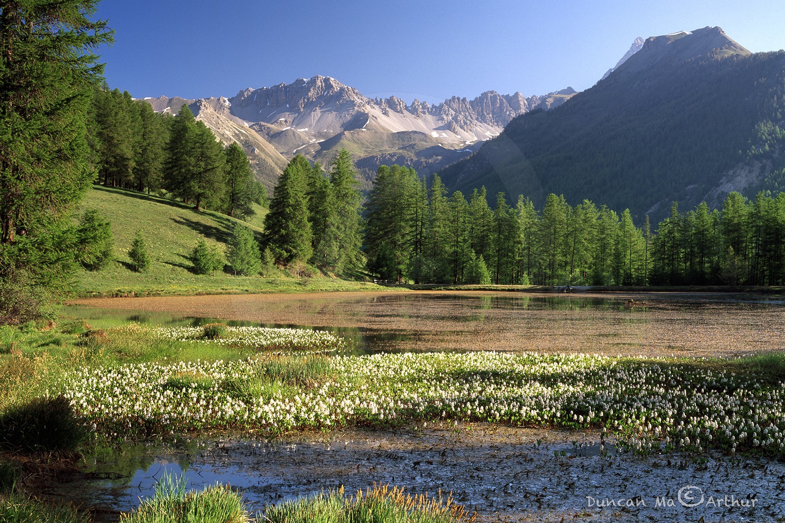 Le lac de Roue au mois de juin