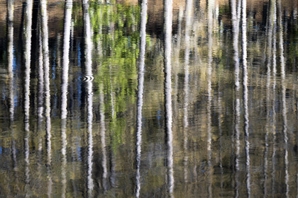 Reflections on the lac de Roue