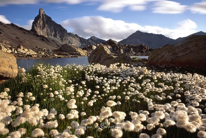 Bog cotton, lake Blanchet and the Toillies peak