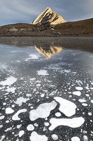 An ice flower on Asti lake