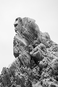 Portrait de la tête des Toilies ©Pierre Barrot