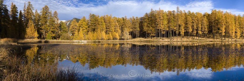 Autumn colours at the lake of Roue