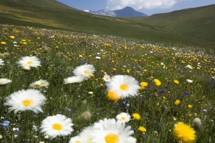 The Plateau d'Emparis, Hautes-Alpes